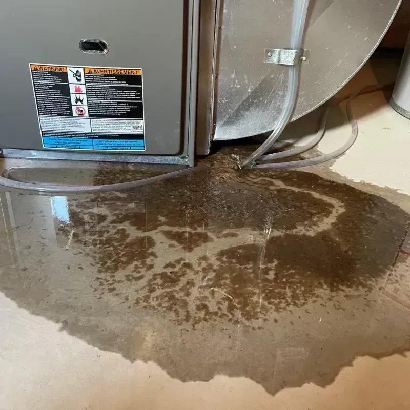 Appliance Leak Cleanup in Raleigh County, WV